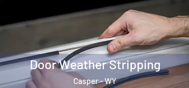 Door Weather Stripping Casper - WY