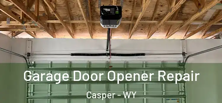  Garage Door Opener Repair Casper - WY